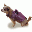 Dog Silk Dress “Rosette"
